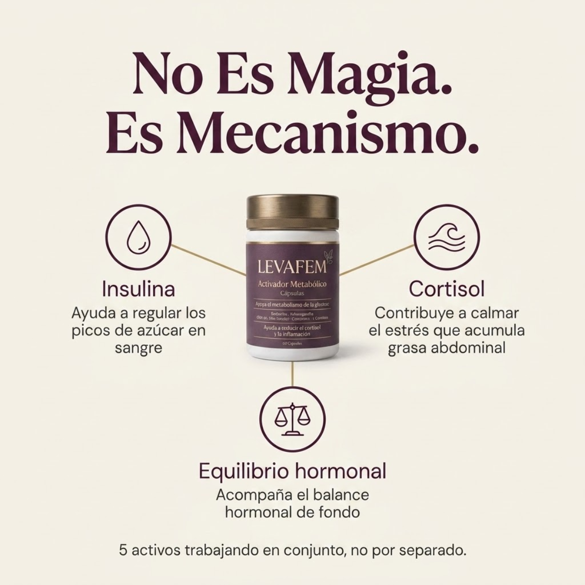 Levafem® — Terminá con la panza que no baja.